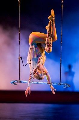 Washighton Trapeze