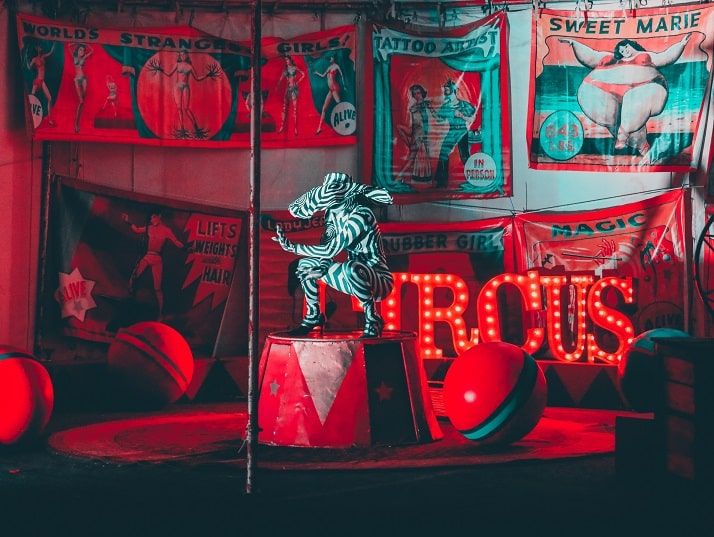 The Evolution of Pole Dancing: From Circus Sensuality to Modern Expression