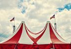 Pole Dancing and its relation to the Circus