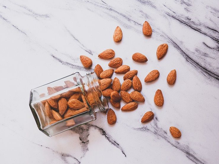 The Two Protein Sources: Exploring Plant-Based and Animal-Based Options