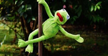 Παιδικά Τμήματα Pole Fitness: Οι Καλύτερες Πρακτικές για Σχολές