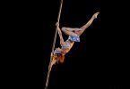 Suspended Pole