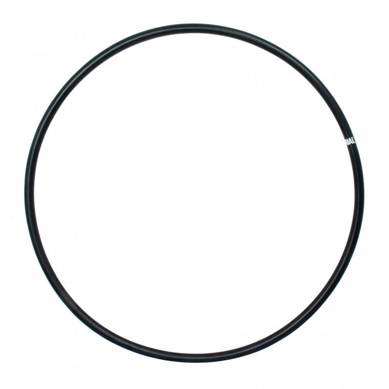 Zero Point Aerial Hoop