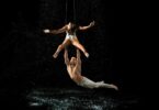 Trapeze Artist: Training, Performances, and What It Takes to Excel