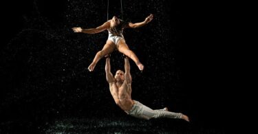 Trapeze Artist: Training, Performances, and What It Takes to Excel