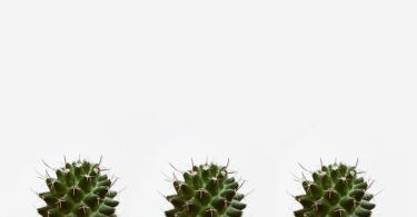 Diet for Haemorrhoid Relief: Best Foods to Reduce Symptoms