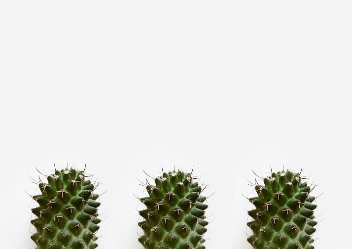 Diet for Haemorrhoid Relief: Best Foods to Reduce Symptoms