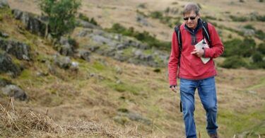 Senior Health and Wellness Strategies: 5 Essential Tips