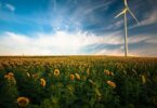 Benefits of Renewable Energy: Why Choose Renewable Sources for Electricity?