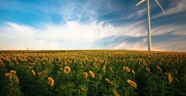 Benefits of Renewable Energy: Why Choose Renewable Sources for Electricity?