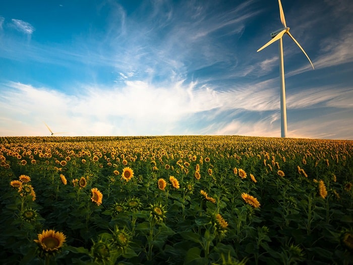 Benefits of Renewable Energy: Why Choose Renewable Sources for Electricity?