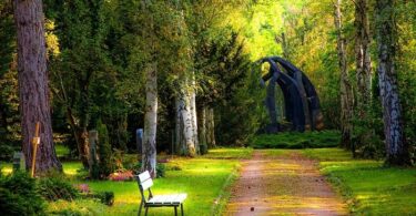 Intimate Funeral: Balancing Tradition with Personalization