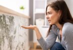 Sources of Mold Growth: Causes and Prevention Tips for a Healthier Home
