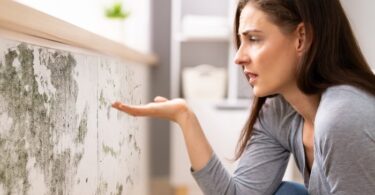 Sources of Mold Growth: Causes and Prevention Tips for a Healthier Home