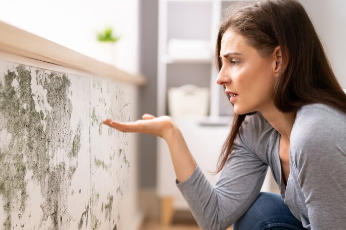 Sources of Mold Growth: Causes and Prevention Tips for a Healthier Home