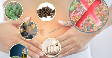 5 Best Parasite Cleanses for Humans You May Not Know