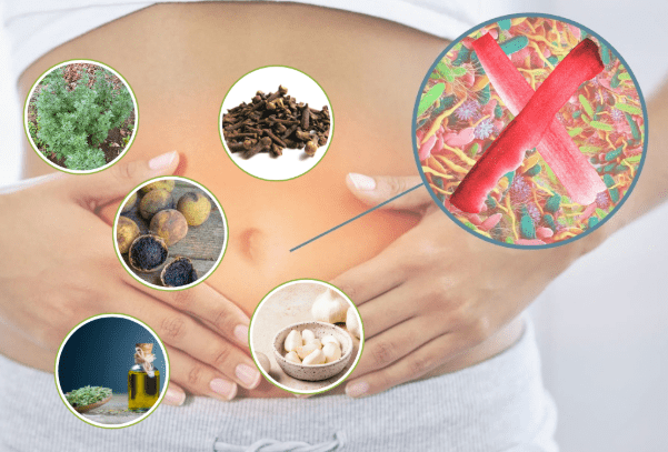 5 Best Parasite Cleanses for Humans You May Not Know