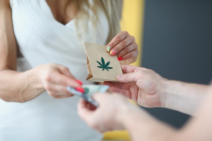Cannabis Legalization in Texas: Will It Happen in 2025?