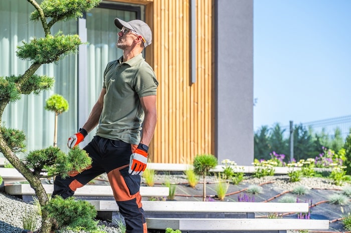 Curb Appeal Contracting: How Landscaping Contractors Enhance Outdoor Spaces