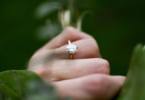 Affordable Moissanite Engagement Rings: Stunning Sparkle Without the Price Tag