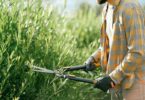Successful Landscape Franchise: Top Benefits and Key Strategies