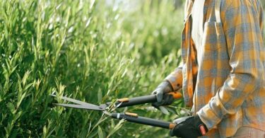 Successful Landscape Franchise: Top Benefits and Key Strategies