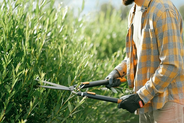 Successful Landscape Franchise: Top Benefits and Key Strategies