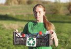 Skip Hire Collection Solution: Efficient Green Waste Management