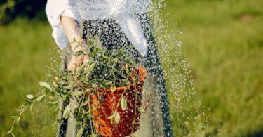The Benefits of Installing an Efficient Irrigation System for Your Garden