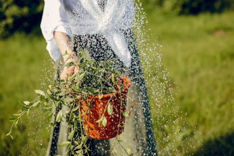The Benefits of Installing an Efficient Irrigation System for Your Garden