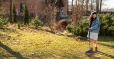 Year-Round Landscape: Keep Your Yard Beautiful All Year