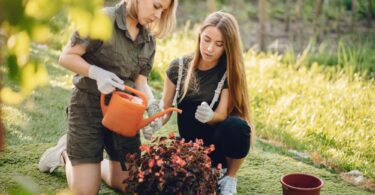 The Importance of Soil Health in Creating a Thriving Landscape Garden