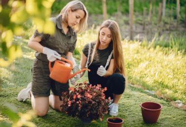 The Importance of Soil Health in Creating a Thriving Landscape Garden