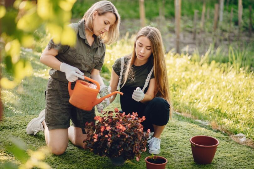 The Importance of Soil Health in Creating a Thriving Landscape Garden
