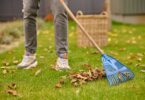 Seasonal Landscaping Maintenance: Year-Round Lawn Care Guide