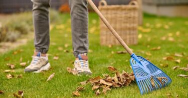 Seasonal Landscaping Maintenance: Year-Round Lawn Care Guide
