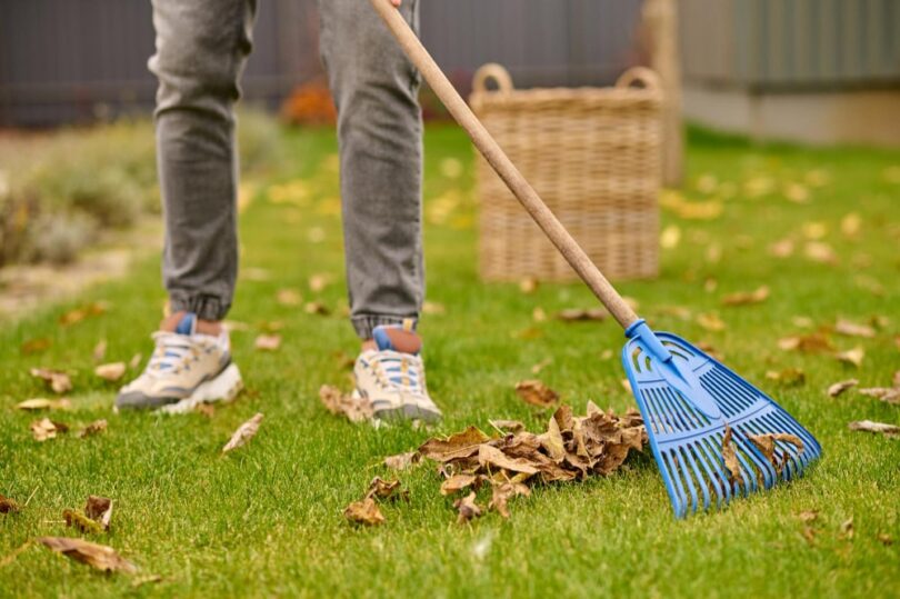 Seasonal Landscaping Maintenance: Year-Round Lawn Care Guide