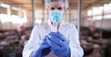 Why Turkey is Leading the World in Affordable Stem Cell Therapy 