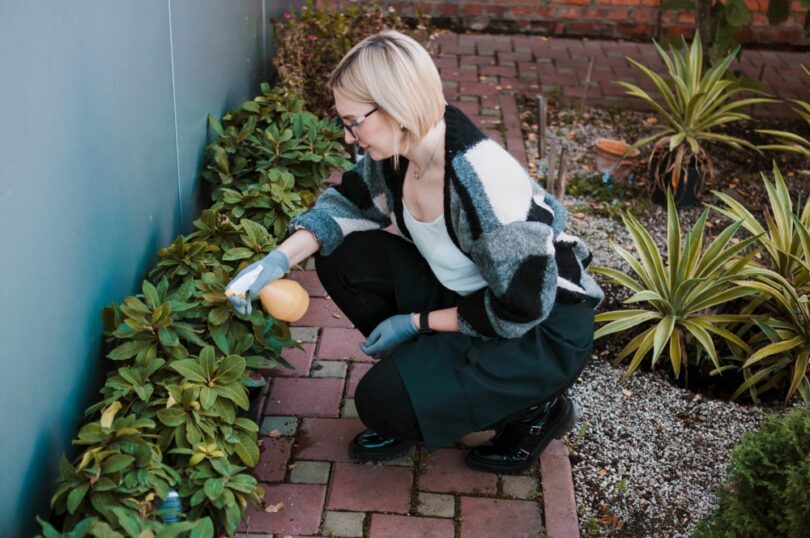 Low Maintenance Landscaping Ideas for a Stress-Free Garden
