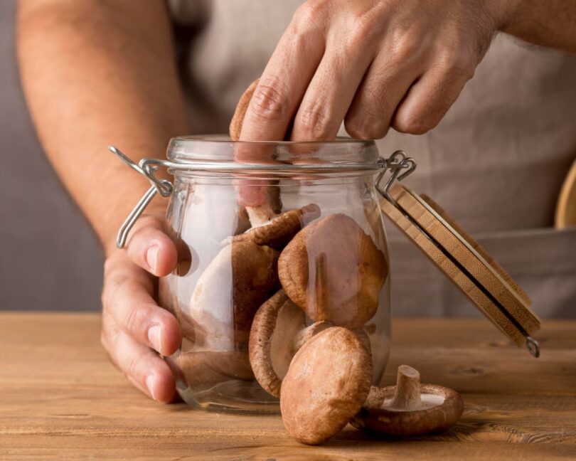 Mushroom Powder Uses: Health Benefits, Easy Recipes, and Wellness Tips