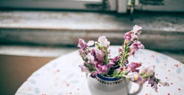 Home Fragrance for Spring: Fresh Scents and Seasonal Ideas