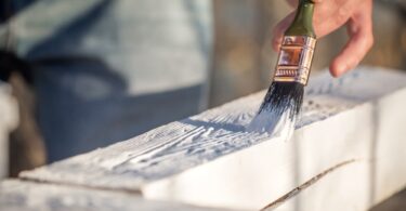 The Essential Guide to Primer Sealer Undercoat for Professional Finishes