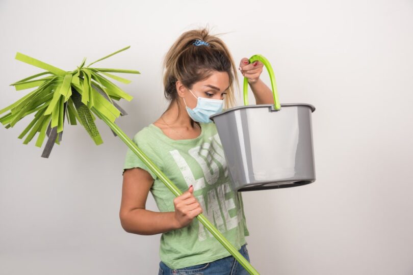 Dampness Bugs and Moisture Control Tips for Homeowners