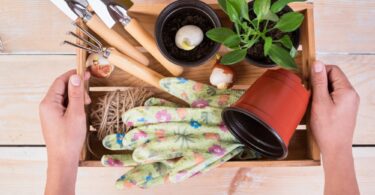 19 Grow A Garden Mystery Items You Should Never Skip Opening 