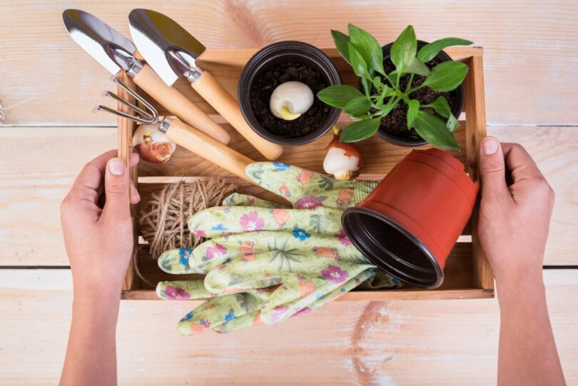 19 Grow A Garden Mystery Items You Should Never Skip Opening 