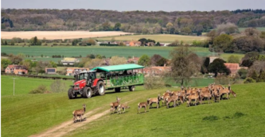 The Best Places to Visit in the UK This Spring