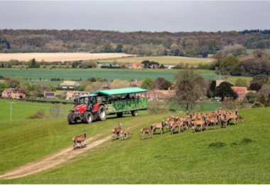 The Best Places to Visit in the UK This Spring